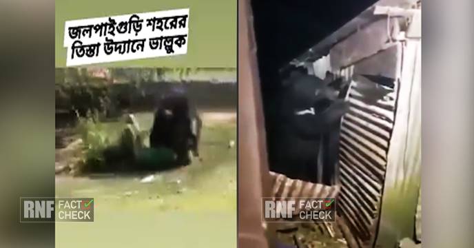 JALPAIGURI BEAR TERROR